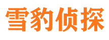 隆德侦探调查公司